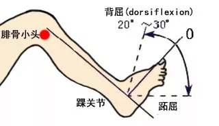 开云体育登录-穆西亚拉腓骨骨折+韧带受伤预计伤缺4-5个月