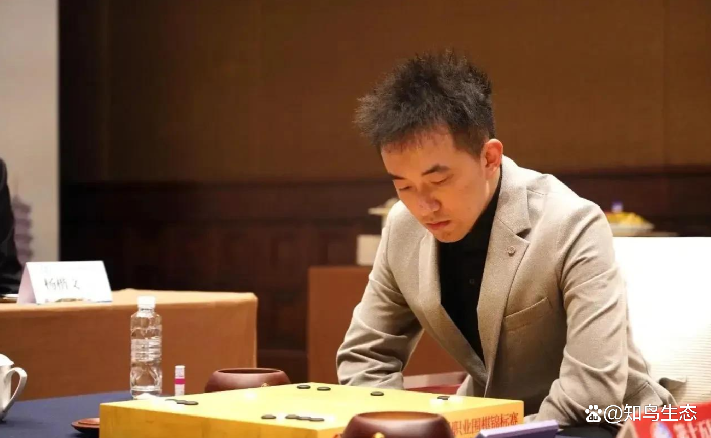 关于杨楷文问鼎春兰杯职业生涯首夺世界冠军的信息