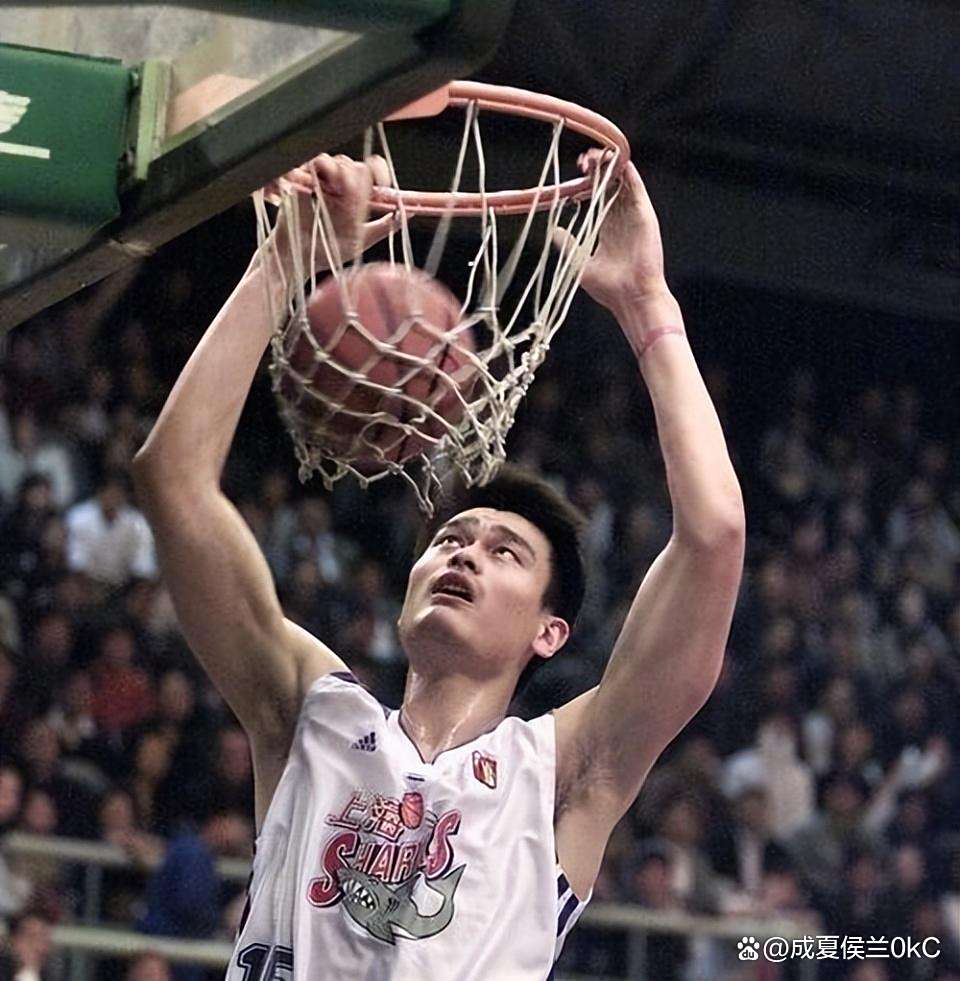 开云体育官网-前深圳男篮中锋赵义明加盟湖北男篮，出战NBL联赛